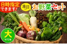 日時指定OK！本日のお野菜セット 〈大サイズ/約12種〉 4人以上用 新鮮 産地直送 野菜詰め合わせ 有機栽培 野菜 果物 野菜セット 野菜定期便 送料無料 【オーガニックのまち 宮崎県綾町】
