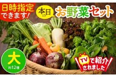 日時指定OK！本日のお野菜セット 〈大サイズ/約12種〉 4人以上用 新鮮 産地直送 野菜詰め合わせ 有機栽培 野菜 果物 野菜セット 野菜定期便 送料無料 【オーガニックのまち 宮崎県綾町】