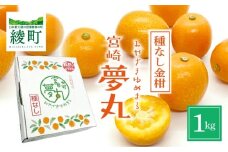 種なし きんかん「宮崎夢丸」 1kg 【完熟 金柑 フルーツ 果物 柑橘 希少 特産品 ギフト プレゼント お取り寄せ グルメ 国産 産地直送 送料無料 綾町】