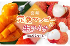 【先行予約/数量限定】希少 完熟マンゴー＆生ライチセット 【1玉 1パック 宮崎県産  綾町産 濃厚 甘い 果物 南国 フルーツ 高級 マンゴー 国産ライチ 産地直送 期間限定 冷蔵 送料無料 お中元 ふるさと納税】