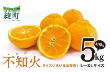 [先行予約] 不知火 サイズいろいろ お得な5kg【みかん しらぬい 不知火 フルーツ 柑橘 蜜柑 果物 くだもの 宮崎 綾町】