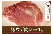 綾ぶどう豚ウデブロック1kg