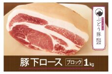 綾ぶどう豚下ロースブロック1kg