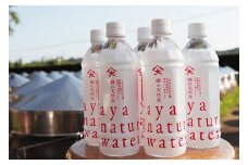 照葉樹の恵み「綾の天然水」500ml×24本