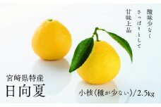 初春の旬「日向夏」種が少ない ２.５kg