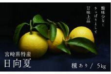 【先行受付】初春の旬 日向夏 種あり 5kg / 日向夏 ひゅうがなつ 柑橘 フルーツ 綾町 宮崎県