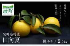 【先行受付】初春の旬 日向夏 種あり 2.5kg / 日向夏 ひゅうがなつ 柑橘 フルーツ 綾町 宮崎県