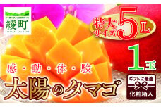 完熟マンゴー「太陽のタマゴ」５L×１玉【規格 基準 最大 濃厚 宮崎 高級 果物 フルーツ 贈答 ギフト 先行受付 送料無料】