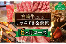 宮崎牛しゃぶすき＆焼肉コース計4.2kg【6か月定期便】