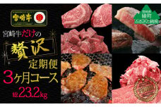 宮崎牛だけの贅沢定期便コース計23.2kg【3か月定期便】