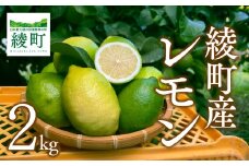 綾町産のレモン ２kg