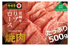 宮崎牛リブロース焼肉500g