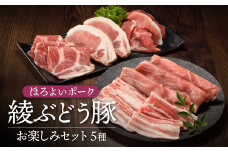 国産 豚肉 ブランド 豚 綾ぶどう豚 お楽しみ セット 食べつくし 詰め合わせ バラエティー ロース とんかつ 肩ロース 生姜焼き バラ 焼肉 もも スライス 小間切れ 調理 日時 指定 可能