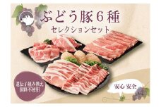 【希少】ブランド豚「綾ぶどう豚」 セレクション 6種セット 1.7kg 【宮崎県産 綾町産 ぶどう豚  豚肉 国産 銘柄豚 ポーク 豚ロース とんかつ 肩ロース 生姜焼き 豚バラ 焼肉 豚小間切れ 豚こま 豚もも スライス ハンバーグ しゃぶしゃぶ 冷凍 小分け 送料無料】