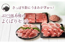 【希少】ブランド豚「綾ぶどう豚」 詰め合わせ よくばりセット 2.7kg  【宮崎県産 綾町産 ぶどう豚  豚肉 国産 銘柄豚 ポーク ロース とんかつ 肩ロース 生姜焼き 豚バラ 焼肉用 豚小間切れ 豚もも スライス 豚ミンチ ギフト プレゼント お歳暮 お中元 母の日 父の日 冷凍 小分け 送料無料】