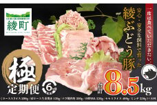 国産 豚肉 ブランド 豚 綾ぶどう豚 よりどり 詰め合わせ 6か月 定期便 セット 指定月 中旬 お届け ロース スライス 生姜焼き バラ 焼肉 小間切れ モモ スライス ミンチ しゃぶしゃぶ