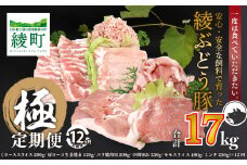 国産 豚肉 ブランド 豚 綾ぶどう豚 よりどり 詰め合わせ 12か月 定期便 セット 毎月 中旬 お届け ロース スライス 生姜焼き バラ 焼肉 小間切れ モモ スライス ミンチ しゃぶしゃぶ