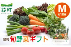 綾町旬野菜ギフト〈 Mサイズ/約10種 〉2～3人分 産地直送 野菜セット 詰め合わせ 新鮮 有機栽培 旬 採れたて 野菜 新鮮野菜 人参 トマト じゃがいも 玉ねぎ きゅうり さつまいも 芋 ねぎ 小松菜 大根 ほうれん草 キャベツ キノコ等 送料無料 【オーガニックのまち 宮崎県綾町】