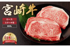 宮崎牛 ロース ステーキ 2枚 500ｇ 牛肉 肉 国産 小分け ブランド牛 ギフト 贈り物 九州 宮崎 霜降り