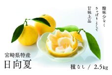 初春の旬「日向夏」種なし ２.５kg