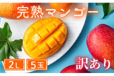 【訳あり】完熟マンゴー 2L×5玉（パック）【濃厚 高級 宮崎 果物 フルーツ 贈答 ギフト 甘い 先行受付 送料無料】