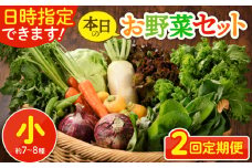 【2回定期便】日時指定OK！本日のお野菜セット 〈小サイズ/約7-8種〉1～2人用 新鮮 産地直送 野菜詰め合わせ 有機栽培 野菜 果物 野菜セット 野菜定期便 送料無料 【オーガニックのまち 宮崎県綾町】
