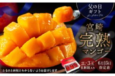 数量限定〈父の日ギフト対応〉完熟マンゴー2L×3玉（化粧箱）【宮崎 綾町 完熟 マンゴー のし対応 贈答 ギフト プレゼント 父の日】