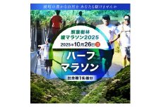 【2025年10月26日開催】照葉樹林　綾マラソン2025出走権【ハーフマラソン】