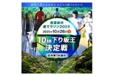 【2025年10月26日開催】照葉樹林　綾マラソン2025出走権【10km下り坂王決定戦】
