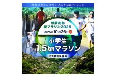 【2025年10月26日開催】照葉樹林　綾マラソン2025出走権【1.5km・小学生】