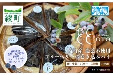 綾町産、川越さんの無農薬ブルーベリーを使ったブルーベリーの巻込みパイ