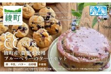綾町産無農薬ブルーベリーとオーガニッククリームチーズのマフィン＆ブルーベリーのソイヨーグルトケーキセット