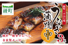 うなぎ蒲焼（中）３尾