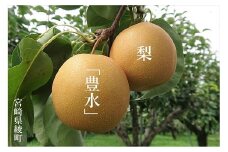 秋初め和梨「豊水」