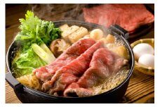宮崎牛赤身・霜降り焼きしゃぶ食べ比べセット〈計1.2kg〉