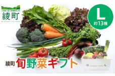 綾町旬野菜ギフト〈 Lサイズ/約13種 〉4人以上分 産地直送 野菜セット 詰め合わせ 新鮮 有機栽培 旬 採れたて 野菜 新鮮野菜 人参 トマト じゃがいも 玉ねぎ きゅうり さつまいも 芋 ねぎ 小松菜 大根 ほうれん草 キャベツ キノコ等 送料無料 【オーガニックのまち 宮崎県綾町】