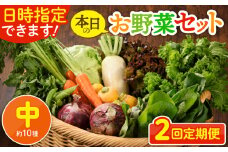 【2回定期便】日時指定OK！本日のお野菜セット 〈中サイズ/約10種〉 2～3人用 新鮮 産地直送 野菜詰め合わせ 有機栽培 野菜 果物 野菜セット 野菜定期便 送料無料 【オーガニックのまち 宮崎県綾町】