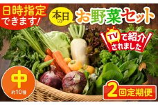 【2回定期便】日時指定OK！本日のお野菜セット 〈中サイズ/約10種〉 2～3人用 新鮮 産地直送 野菜詰め合わせ 有機栽培 野菜 果物 野菜セット 野菜定期便 送料無料 【オーガニックのまち 宮崎県綾町】