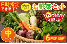 【6回定期便】日時指定OK！本日のお野菜セット 〈中サイズ/約10種〉 2～3人用 新鮮 産地直送 野菜詰め合わせ 有機栽培 野菜 果物 野菜セット 野菜定期便 送料無料 【オーガニックのまち 宮崎県綾町】