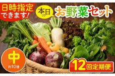 【12回定期便】日時指定OK！本日のお野菜セット 〈中サイズ/約10種〉 2～3人用 新鮮 産地直送 野菜詰め合わせ 有機栽培 野菜 果物 野菜セット 野菜定期便 送料無料 【オーガニックのまち 宮崎県綾町】