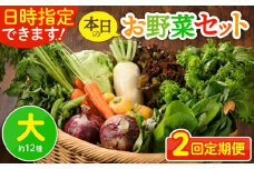 【2回定期便】日時指定OK！本日のお野菜セット 〈大サイズ/約12種〉 4人以上用 新鮮 産地直送 野菜詰め合わせ 有機栽培 野菜 果物 野菜セット 野菜定期便 送料無料 【オーガニックのまち 宮崎県綾町】