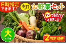 【2回定期便】日時指定OK！本日のお野菜セット 〈大サイズ/約12種〉 4人以上用 新鮮 産地直送 野菜詰め合わせ 有機栽培 野菜 果物 野菜セット 野菜定期便 送料無料 【オーガニックのまち 宮崎県綾町】