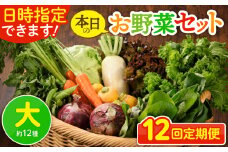 【12回定期便】日時指定OK！本日のお野菜セット 〈大サイズ/約12種〉 4人以上用 新鮮 産地直送 野菜詰め合わせ 有機栽培 野菜 果物 野菜セット 野菜定期便 送料無料 【オーガニックのまち 宮崎県綾町】