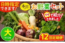 【12回定期便】日時指定OK！本日のお野菜セット 〈大サイズ/約12種〉 4人以上用 新鮮 産地直送 野菜詰め合わせ 有機栽培 野菜 果物 野菜セット 野菜定期便 送料無料 【オーガニックのまち 宮崎県綾町】