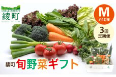 【3回定期便】綾町旬野菜ギフト〈 Mサイズ/約10種 〉2～3人分 産地直送 野菜セット 詰め合わせ 新鮮 有機栽培 旬 採れたて 野菜定期便 野菜 人参 トマト じゃがいも 玉ねぎ きゅうり さつまいも 芋 ねぎ 小松菜 大根 ほうれん草 キャベツ キノコ等 送料無料 【オーガニックのまち 宮崎県綾町】