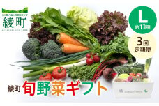 【3回定期便】綾町旬野菜ギフト〈 Lサイズ/約13種 〉4人以上分 産地直送 野菜セット 詰め合わせ 新鮮 有機栽培 採れたて 人参 トマト じゃがいも 玉ねぎ きゅうり さつまいも 芋 ねぎ 小松菜 大根 ほうれん草 キャベツ キノコ等 送料無料 【オーガニックのまち 宮崎県綾町】