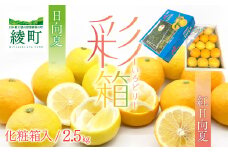 紅日向夏と日向夏の彩り箱 ２.５kg / 日向夏 ひゅうがなつ 柑橘 フルーツ 綾町 宮崎県