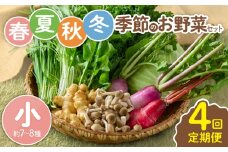 【全４回定期便】春夏秋冬 季節のお野菜セット（サイズ小） 7～8種 宮崎県産 野菜定期便 詰め合わせ 新鮮 野菜 産地直送 野菜セット 農家直送 有機栽培 送料無料 【オーガニックのまち 宮崎県綾町】
