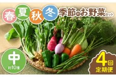 【全４回定期便】春夏秋冬 季節のお野菜セット（サイズ中） 10種 宮崎県産 野菜定期便 詰め合わせ 新鮮 野菜 産地直送 野菜セット 農家直送 有機栽培 送料無料 【オーガニックのまち 宮崎県綾町】