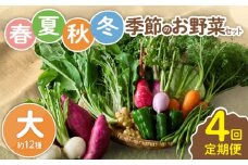 【全４回定期便】春夏秋冬 季節のお野菜セット（サイズ大） 12種 宮崎県産 野菜定期便 詰め合わせ 新鮮 野菜 産地直送 野菜セット 農家直送 有機栽培 送料無料 【オーガニックのまち 宮崎県綾町】